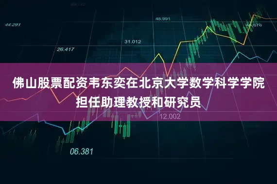 佛山股票配资韦东奕在北京大学数学科学学院担任助理教授和研究员