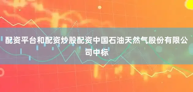 配资平台和配资炒股配资中国石油天然气股份有限公司中标